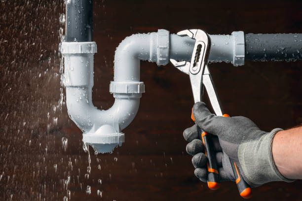 Professional Plumbing technician working in Waldo, WI